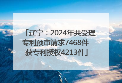 辽宁：2024年共受理专利预审请求7468件 获专利授权4213件
