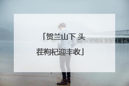 贺兰山下 头茬枸杞迎丰收