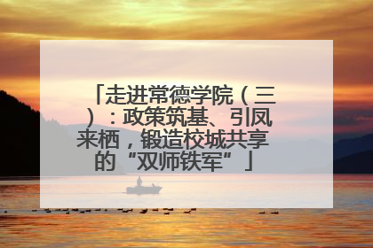 走进常德学院（三）：政策筑基、引凤来栖，锻造校城共享的“双师铁军”