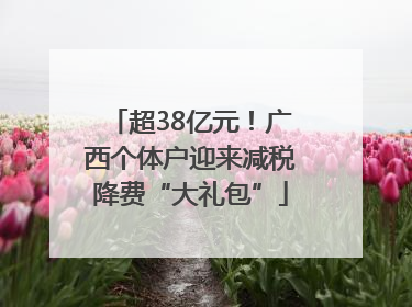 超38亿元！广西个体户迎来减税降费“大礼包”