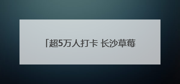 超5万人打卡 长沙草莓音乐节满满“青”和力