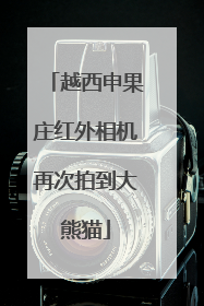 越西申果庄红外相机再次拍到大熊猫