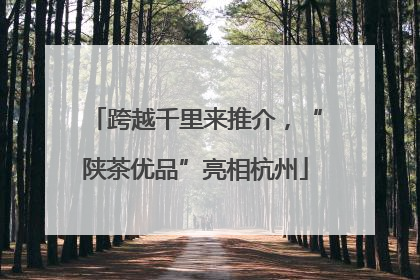 跨越千里来推介，“陕茶优品”亮相杭州