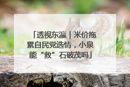 透视东瀛｜米价拖累自民党选情，小泉能“救”石破茂吗