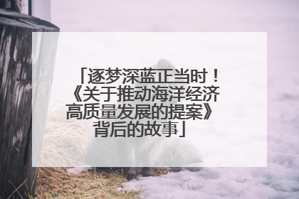 逐梦深蓝正当时！《关于推动海洋经济高质量发展的提案》背后的故事