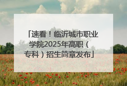 速看！临沂城市职业学院2025年高职（专科）招生简章发布