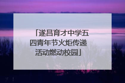 遂昌育才中学五四青年节火炬传递活动燃动校园