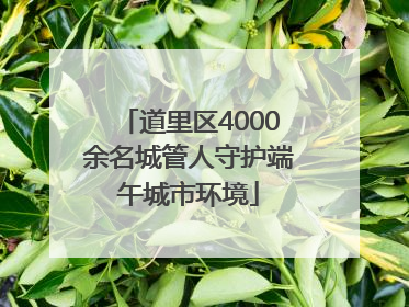 道里区4000余名城管人守护端午城市环境
