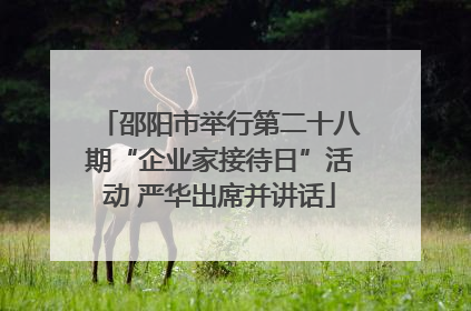 邵阳市举行第二十八期“企业家接待日”活动 严华出席并讲话