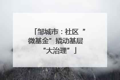 邹城市：社区“微基金”撬动基层“大治理”