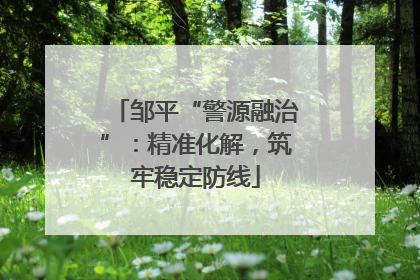 邹平“警源融治”：精准化解，筑牢稳定防线