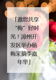 邀您共享“梅”好时光！漳州开发区举办杨梅采摘季嘉年华