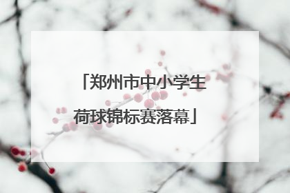 郑州市中小学生荷球锦标赛落幕
