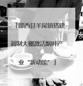 郧西县羊尾镇搭建调制大棚激活烟叶产业“新动能”
