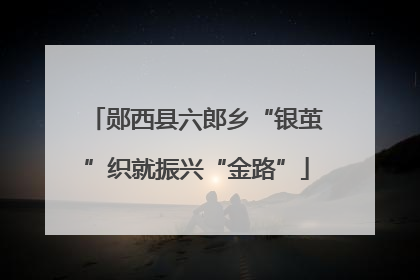 郧西县六郎乡“银茧”织就振兴“金路”