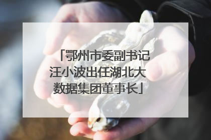 鄂州市委副书记汪小波出任湖北大数据集团董事长