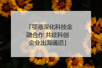 鄂港深化科技金融合作 共建科创企业出海通道