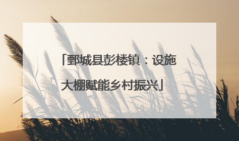 鄄城县彭楼镇：设施大棚赋能乡村振兴