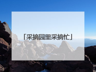 采摘园里采摘忙