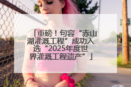 重磅！句容“赤山湖灌溉工程”成功入选“2025年度世界灌溉工程遗产”