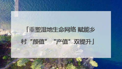 重塑湿地生命网络 赋能乡村“颜值”“产值”双提升