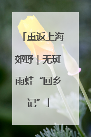 重返上海郊野｜无斑雨蛙“回乡记”