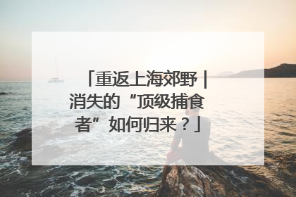 重返上海郊野｜消失的“顶级捕食者”如何归来？