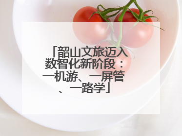 韶山文旅迈入数智化新阶段：一机游、一屏管、一路学