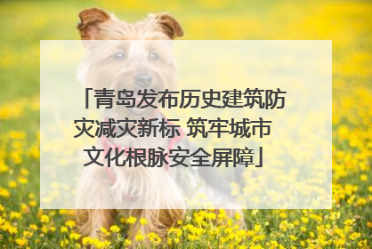 青岛发布历史建筑防灾减灾新标 筑牢城市文化根脉安全屏障