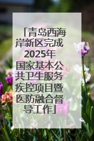 青岛西海岸新区完成2025年国家基本公共卫生服务疾控项目暨医防融合督导工作