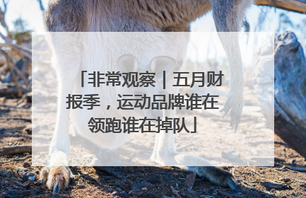 非常观察｜五月财报季，运动品牌谁在领跑谁在掉队