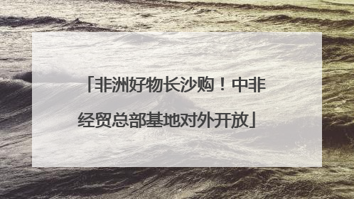 非洲好物长沙购！中非经贸总部基地对外开放
