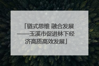 链式思维 融合发展——玉溪市促进林下经济高质高效发展