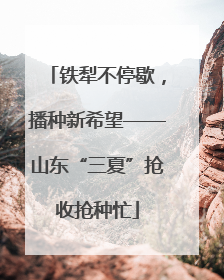 铁犁不停歇，播种新希望——山东“三夏”抢收抢种忙