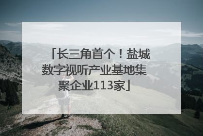 长三角首个！盐城数字视听产业基地集聚企业113家