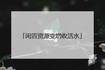 闲置资源变增收活水