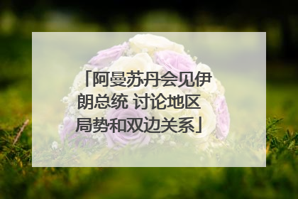 阿曼苏丹会见伊朗总统 讨论地区局势和双边关系