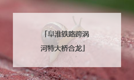 阜淮铁路跨涡河特大桥合龙