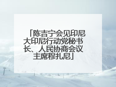 陈吉宁会见印尼大印尼行动党秘书长、人民协商会议主席穆扎尼