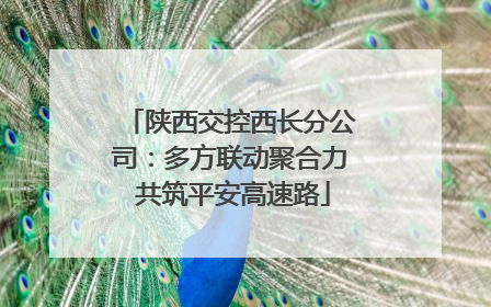 陕西交控西长分公司：多方联动聚合力 共筑平安高速路