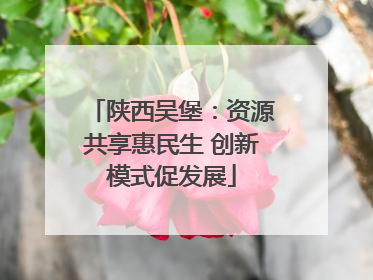 陕西吴堡：资源共享惠民生 创新模式促发展