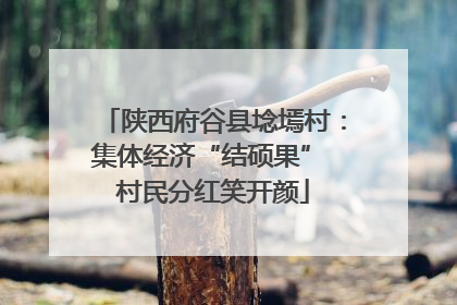 陕西府谷县埝墕村：集体经济“结硕果” 村民分红笑开颜