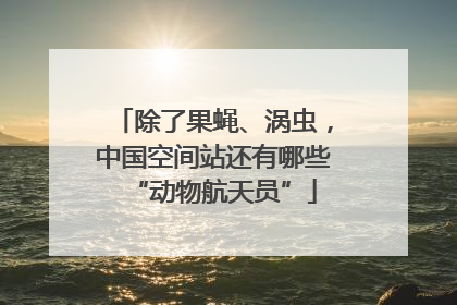 除了果蝇、涡虫，中国空间站还有哪些“动物航天员”