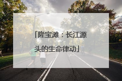 隆宝滩：长江源头的生命律动