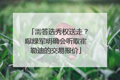 需答选秀权送走？曝绿军明确会听取霍勒迪的交易报价