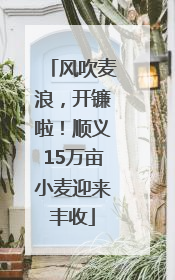 风吹麦浪，开镰啦！顺义15万亩小麦迎来丰收