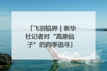 飞羽镜界｜新华社记者对“高原仙子”的四季追寻