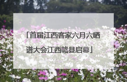 首届江西客家六月六晒谱大会江西赣县启幕