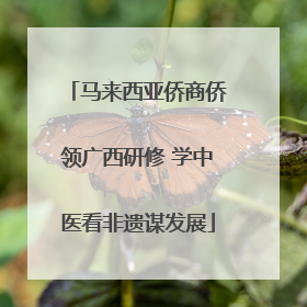 马来西亚侨商侨领广西研修 学中医看非遗谋发展