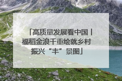 高质量发展看中国丨福稻金浪千重绘就乡村振兴“丰”景图